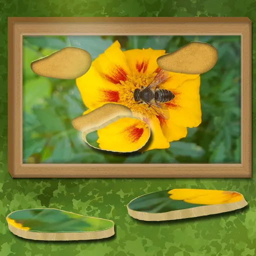 Find & Restore: Hidden Puzzle