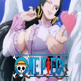 One Piece Anime Girls