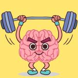 Perfect Brain 3D