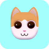 Stretch the Cat