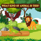 What Kind Of Animal Is This